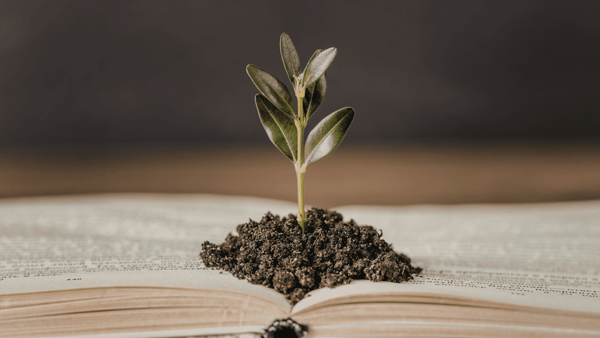 Growing in a book.